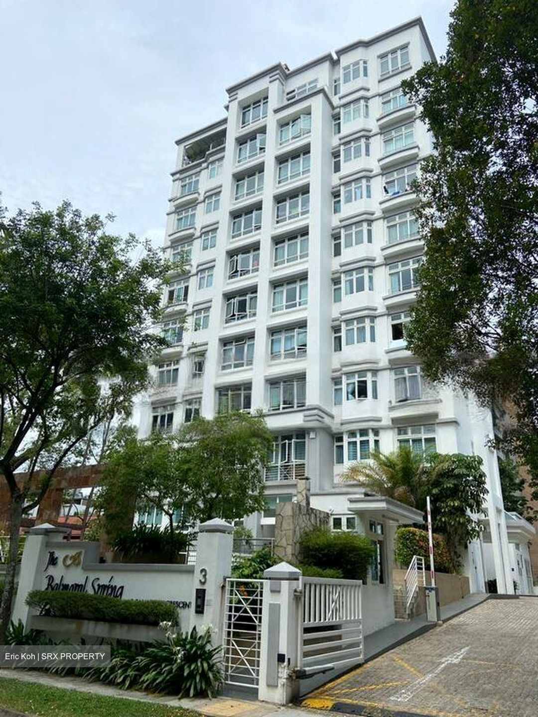 The Balmoral Spring (D10), Apartment #482354081